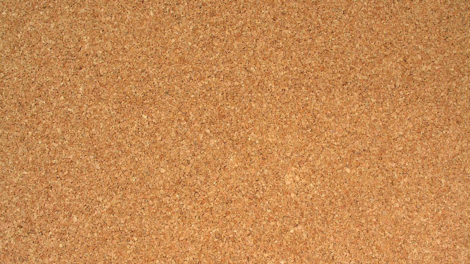 corkboard_desktop_1920x1080_wallpaper-423021.jpg