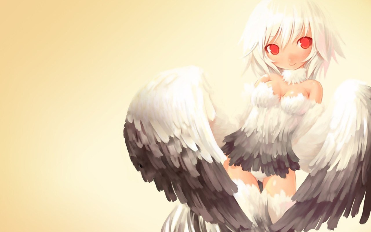 wings ecchi feathers red eyes lolicon white hair albino loli HD