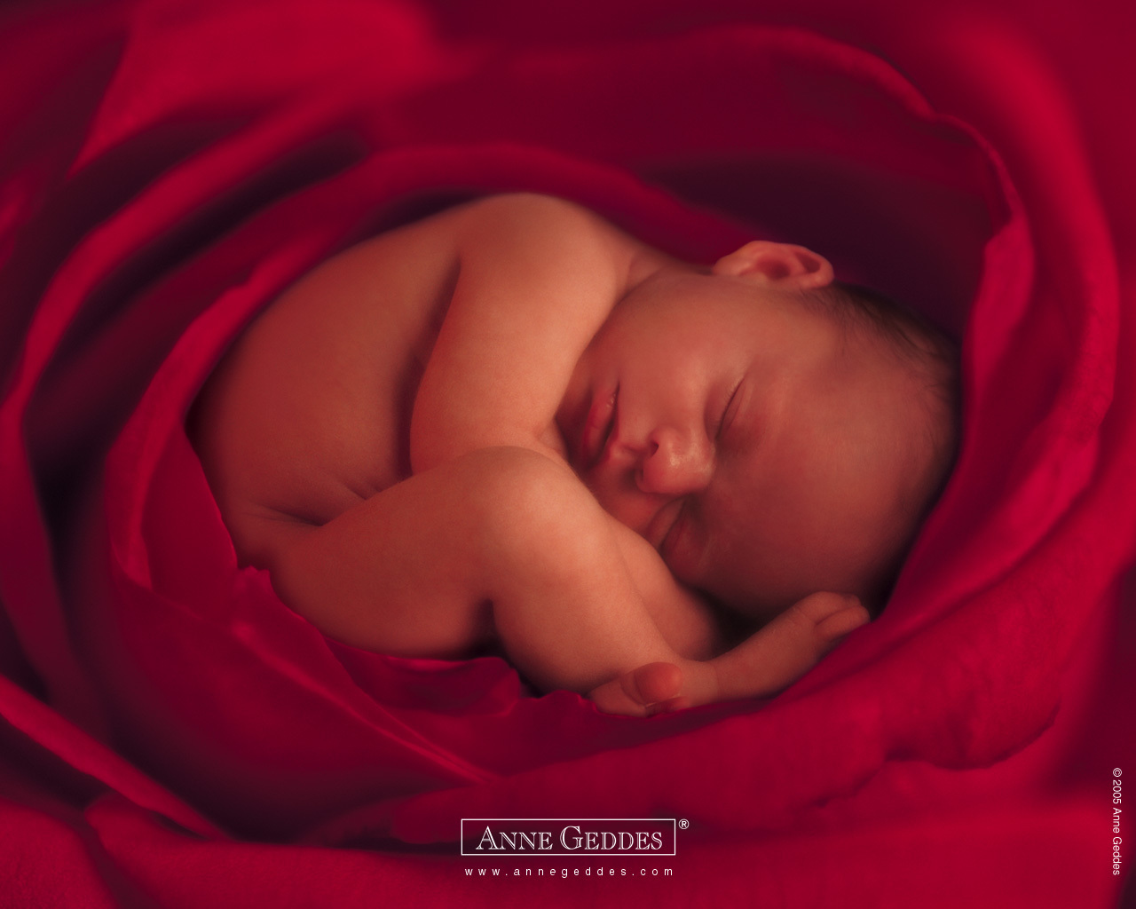 anne geddes design