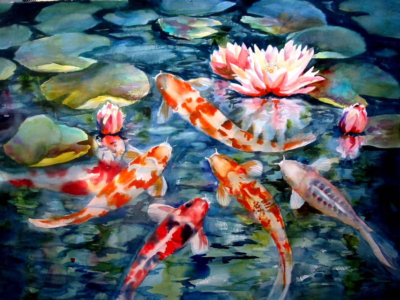 Aquarium Koi