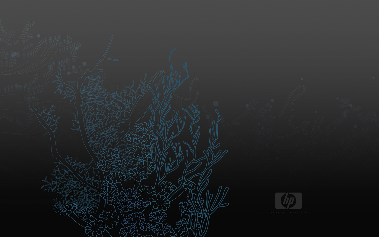 hp logo wallpaper