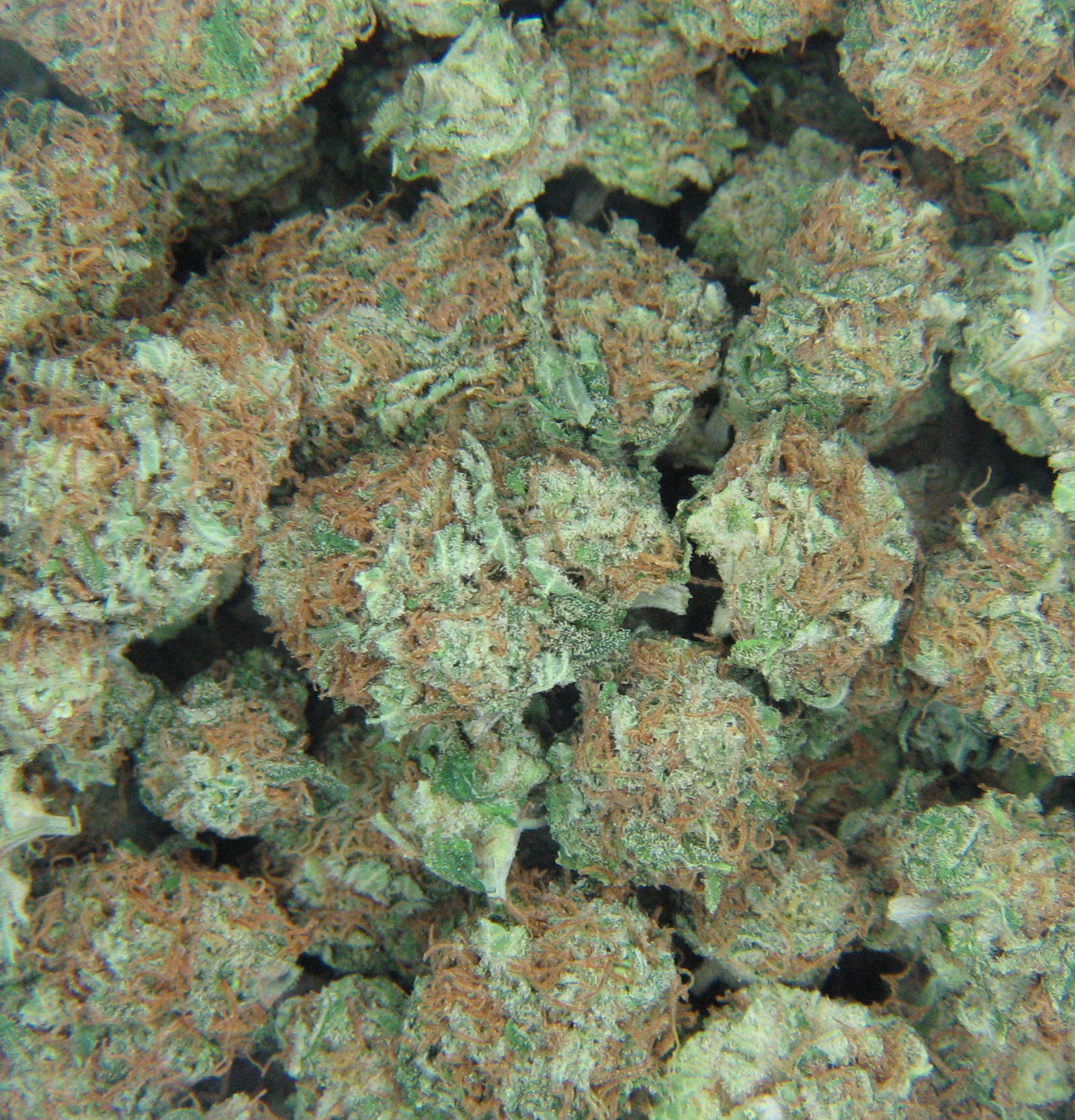 Hd Weed Pics