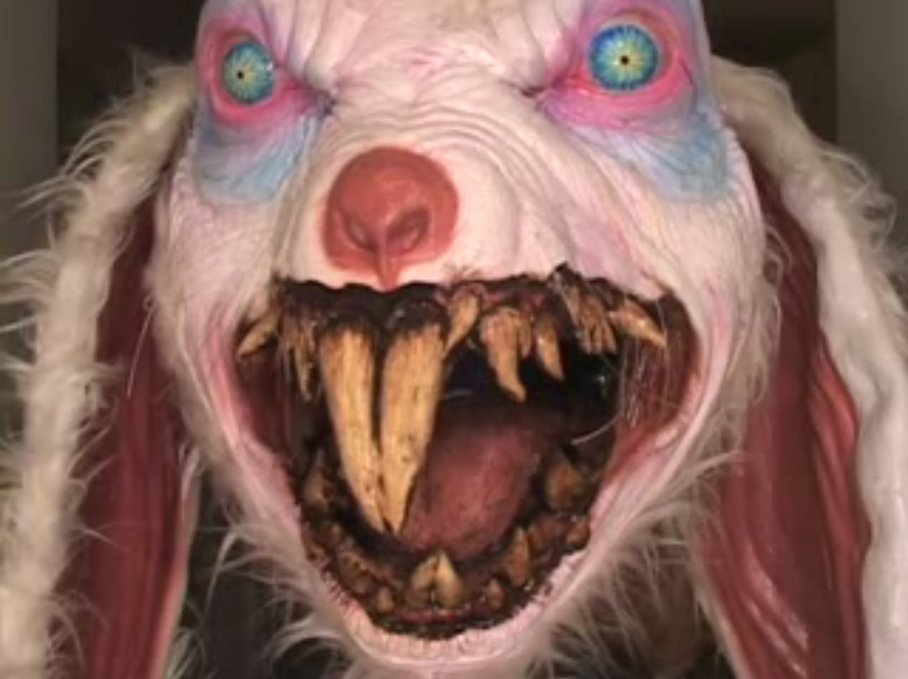 Rabbit With Fangs