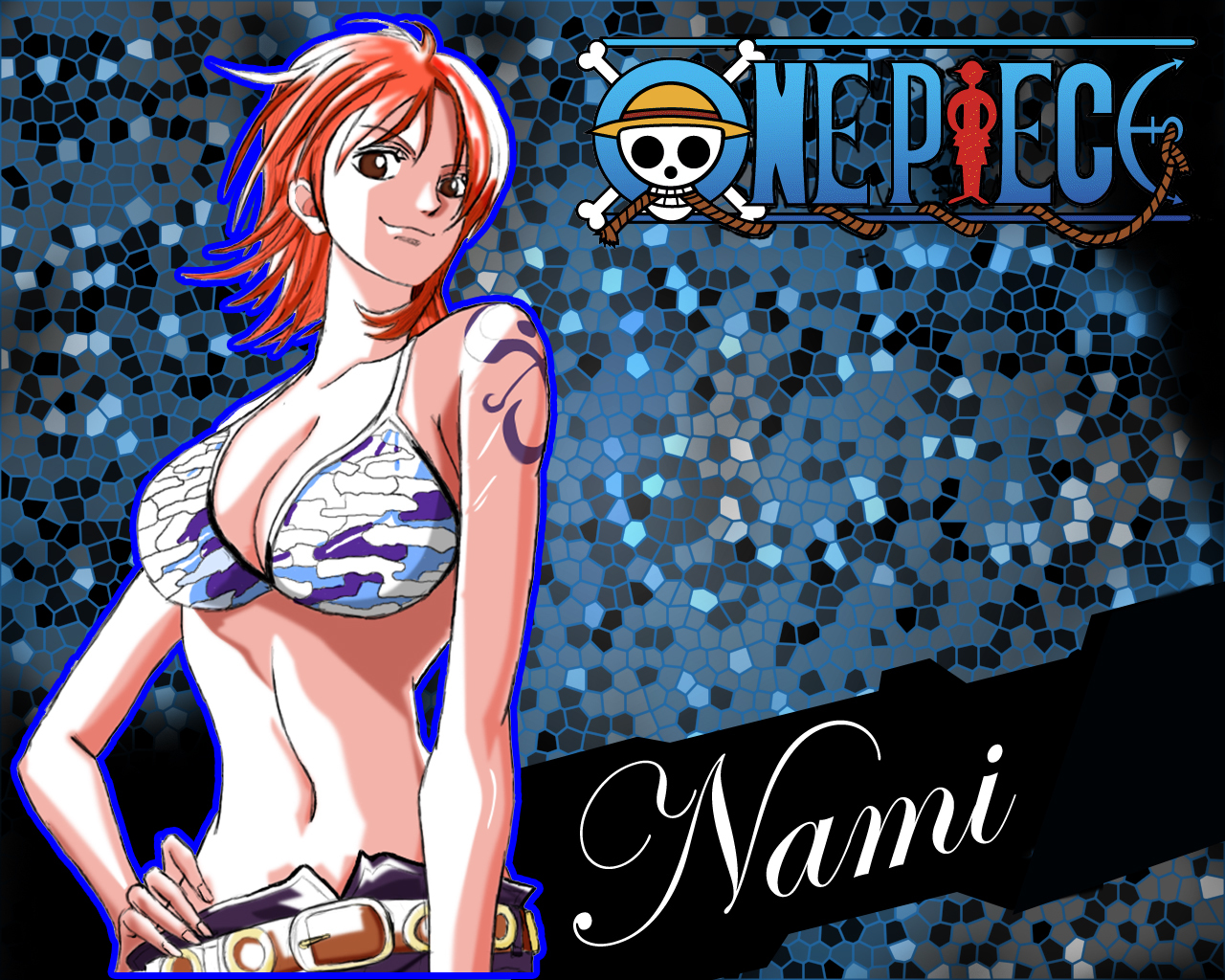 one piece nami  Jan 05 2013 23 31 07    Picture Gallery