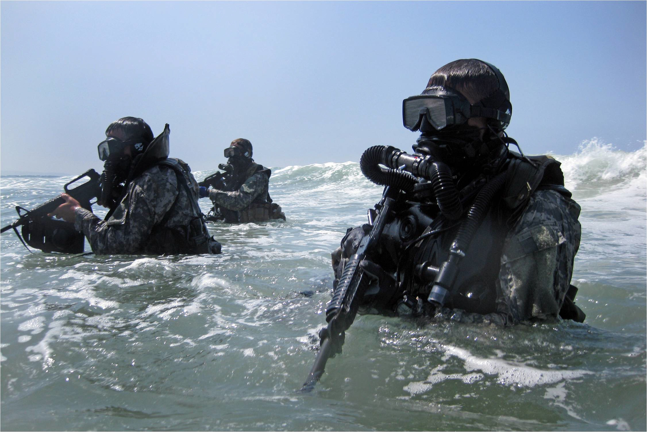 navy frogman