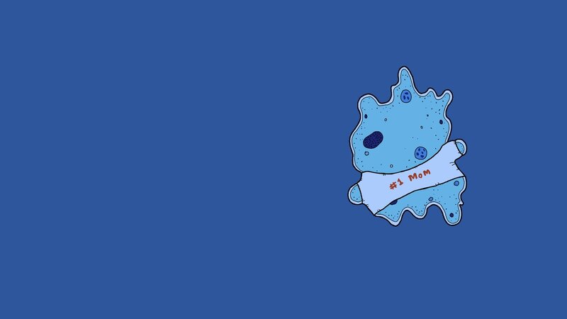 #1 Mom cell design