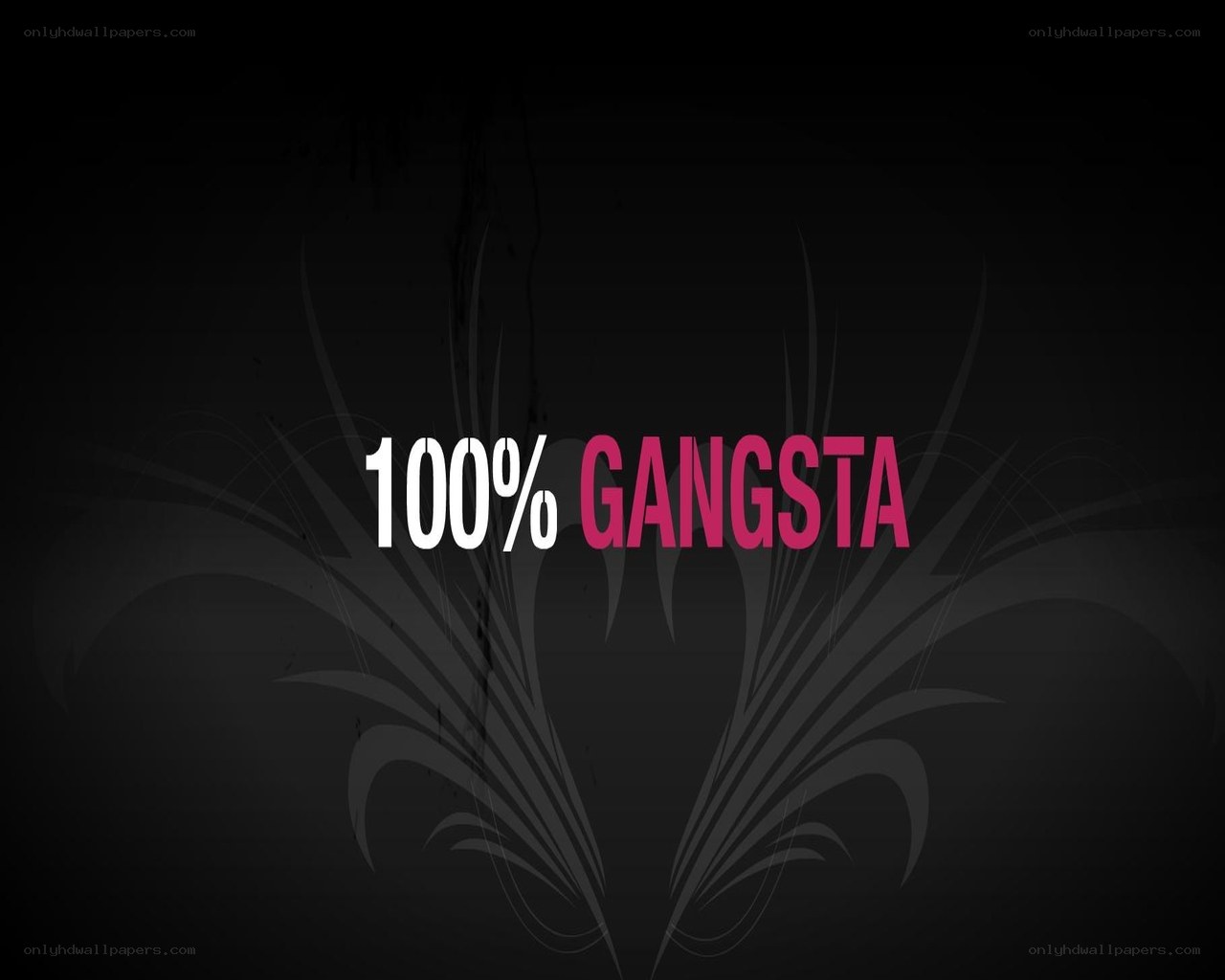100% gangsta text graphic