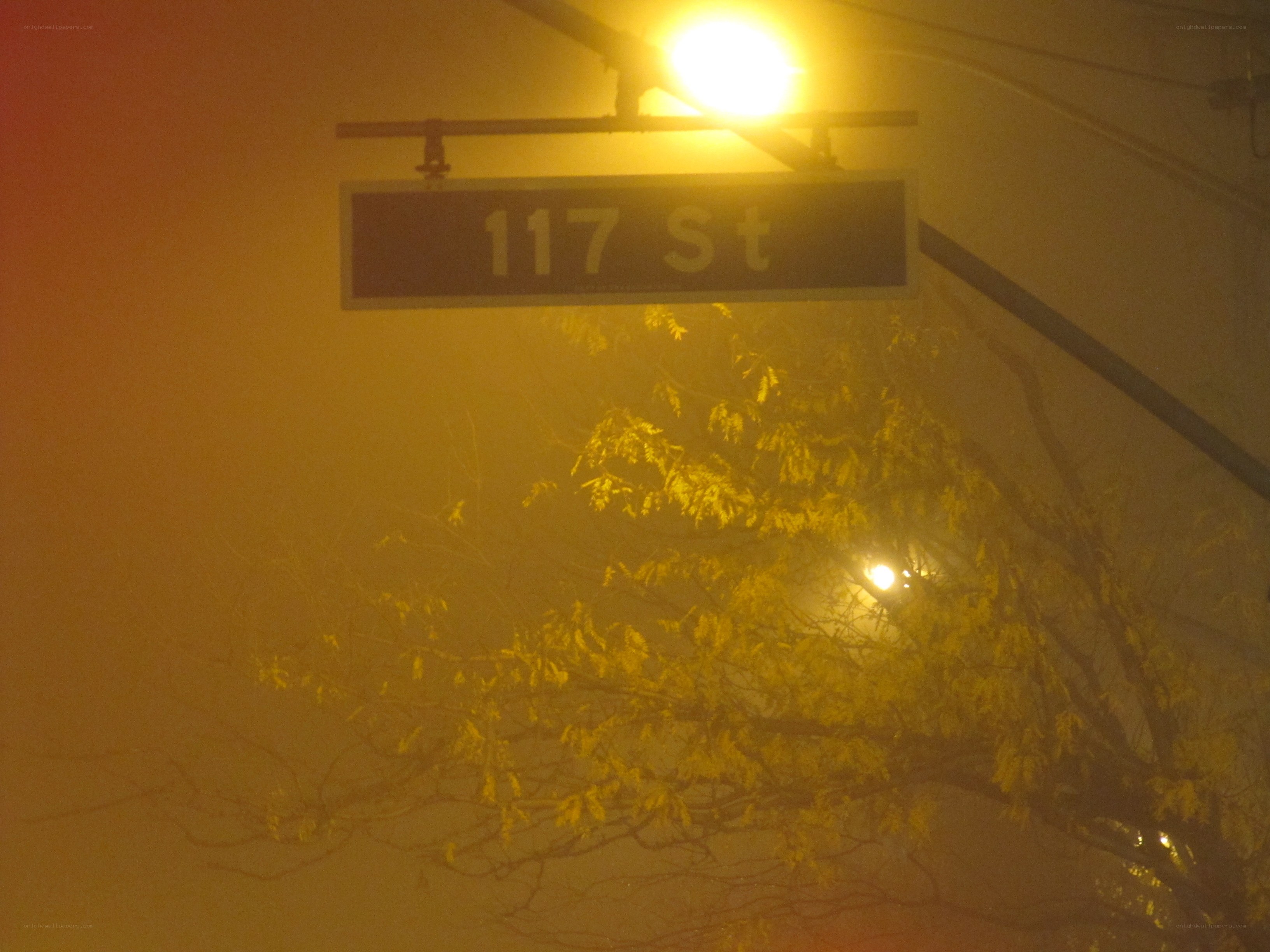117th Street sign at night