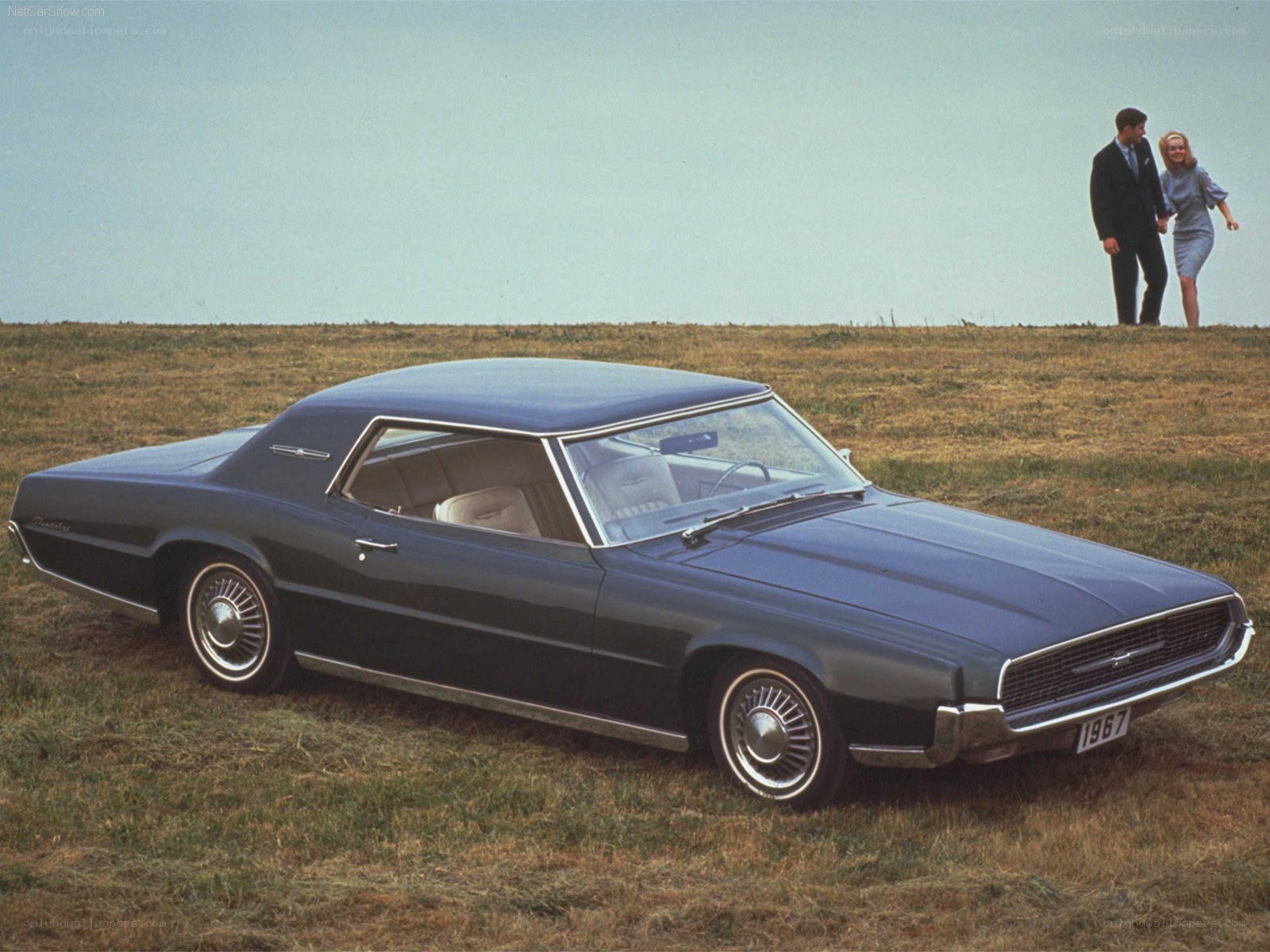 1967 Ford Thunderbird in a field
