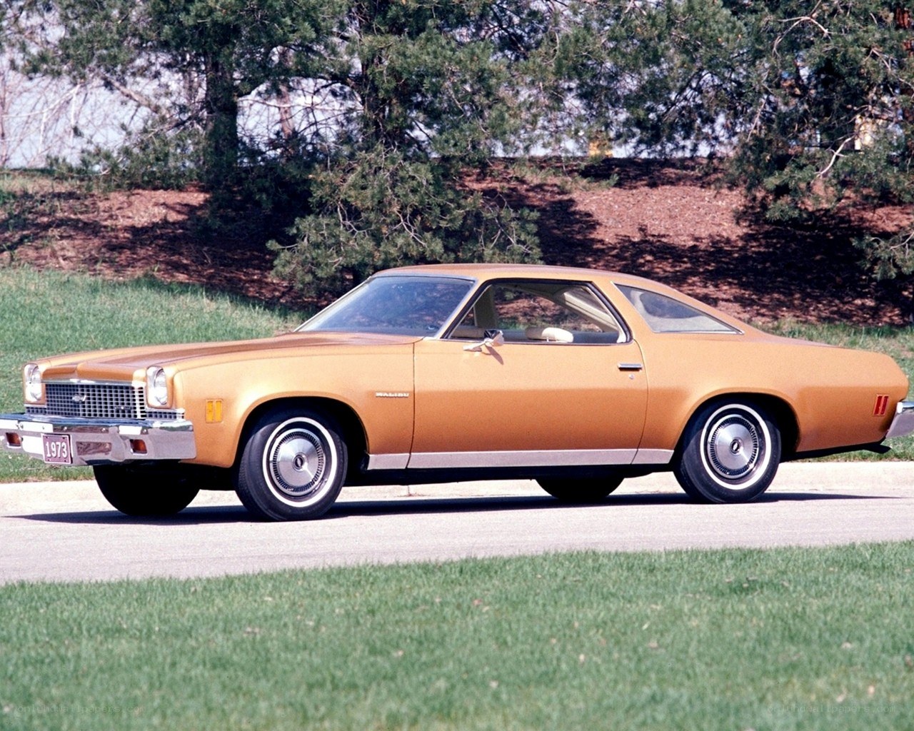 1973 Chevrolet Malibu coupe