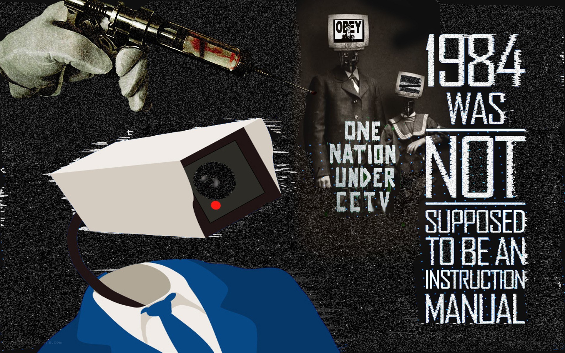 1984 not an instruction manual