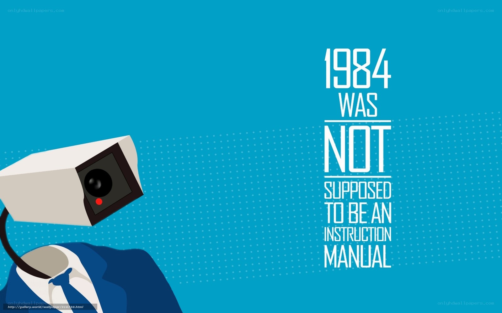 1984 not an instruction manual