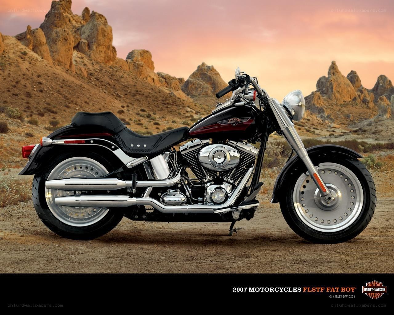2007 Harley-Davidson Fat Boy