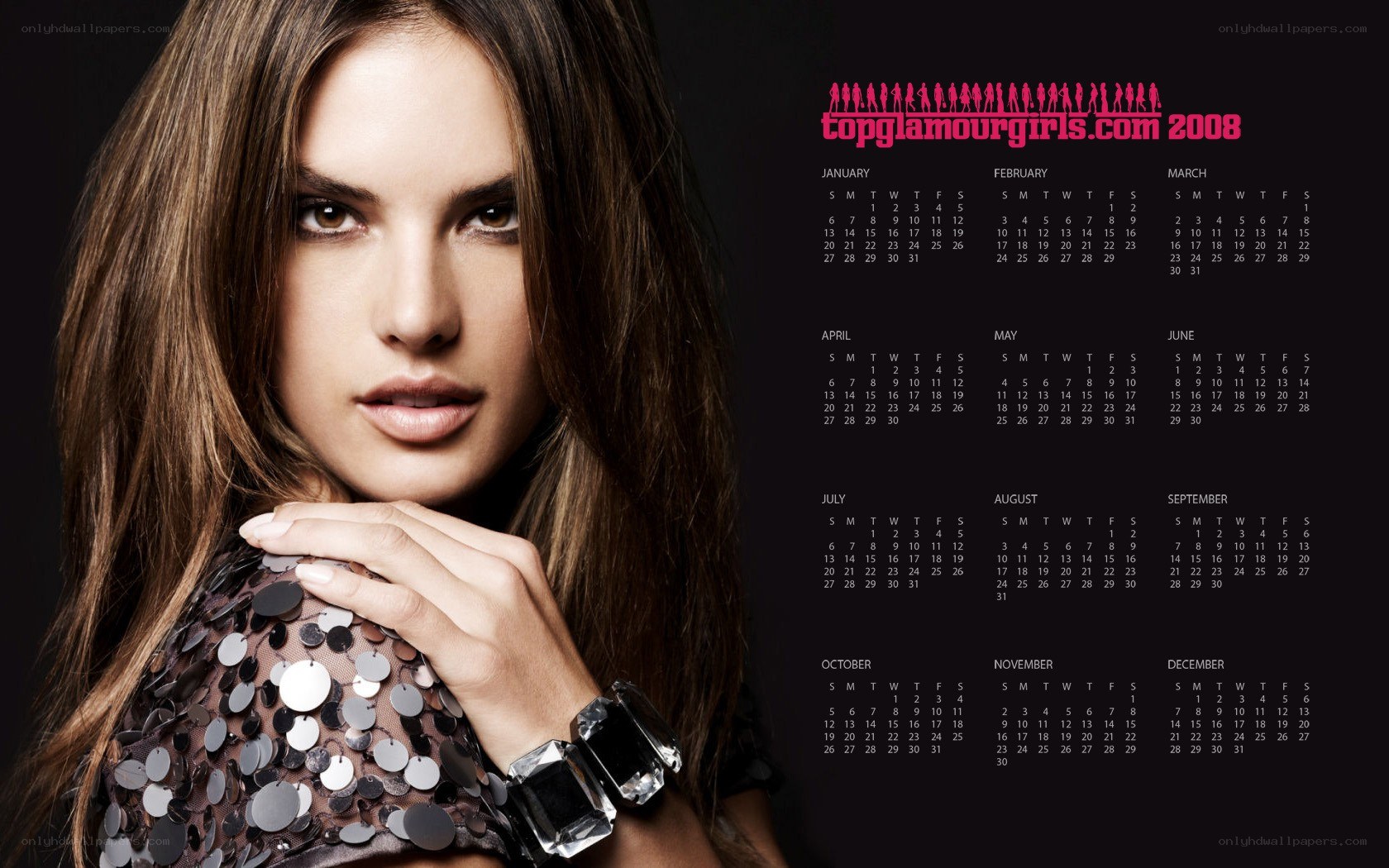 2008 calendar with model