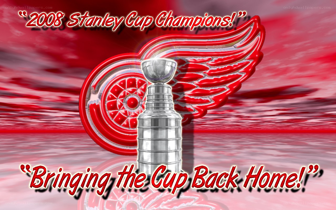2008 Stanley Cup Champions