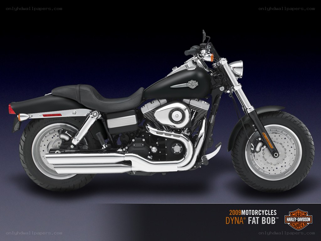 2009 Harley-Davidson Dyna Fat Bob