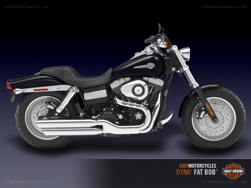 2009 Harley-Davidson Dyna Fat Bob