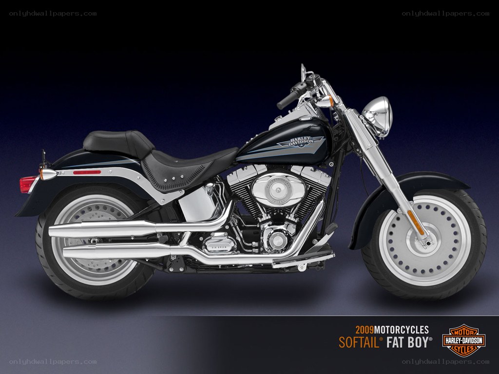 2009 Harley-Davidson Softail Fat Boy