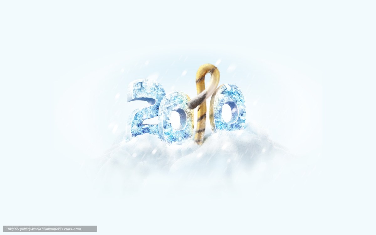 2010 ice and snow