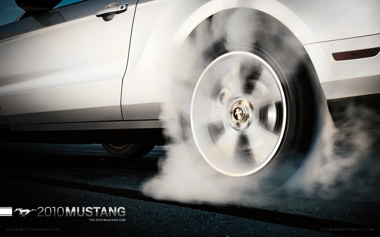 2010 Mustang burnout