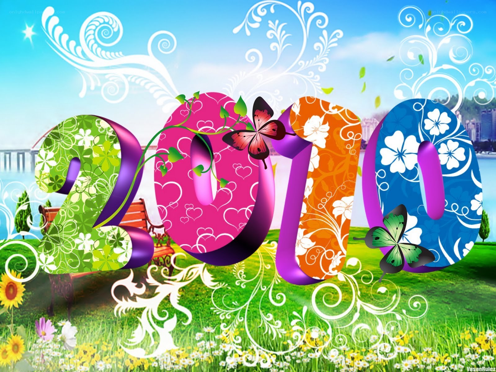 2010 New Year celebration
