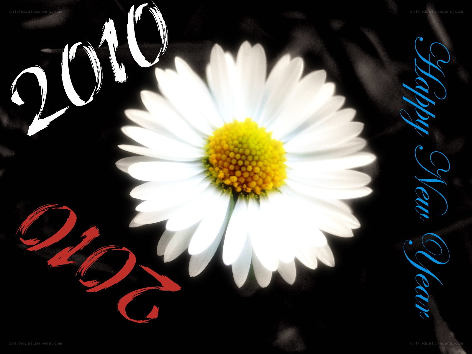 2010 New Year's greeting