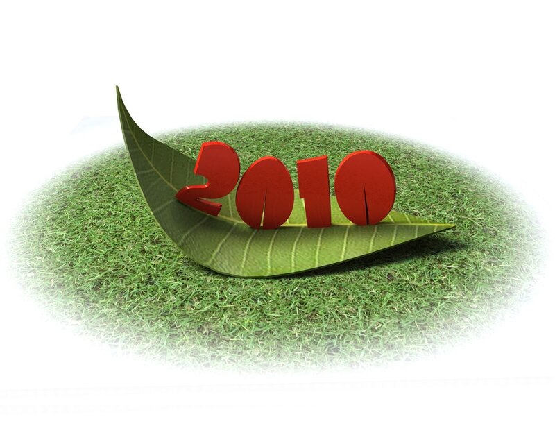 2010 on a green leaf