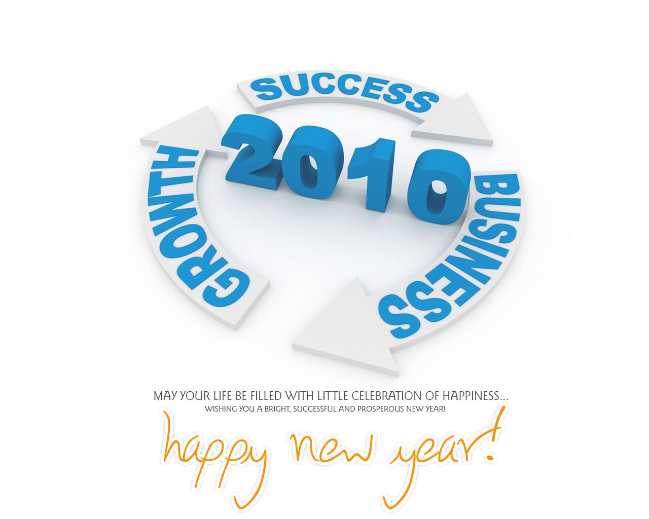 2010 success and growth