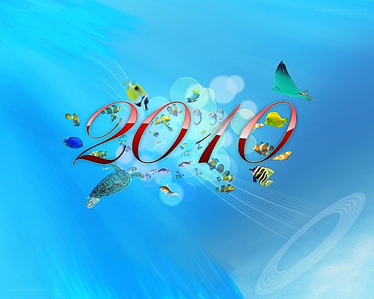 2010 underwater celebration