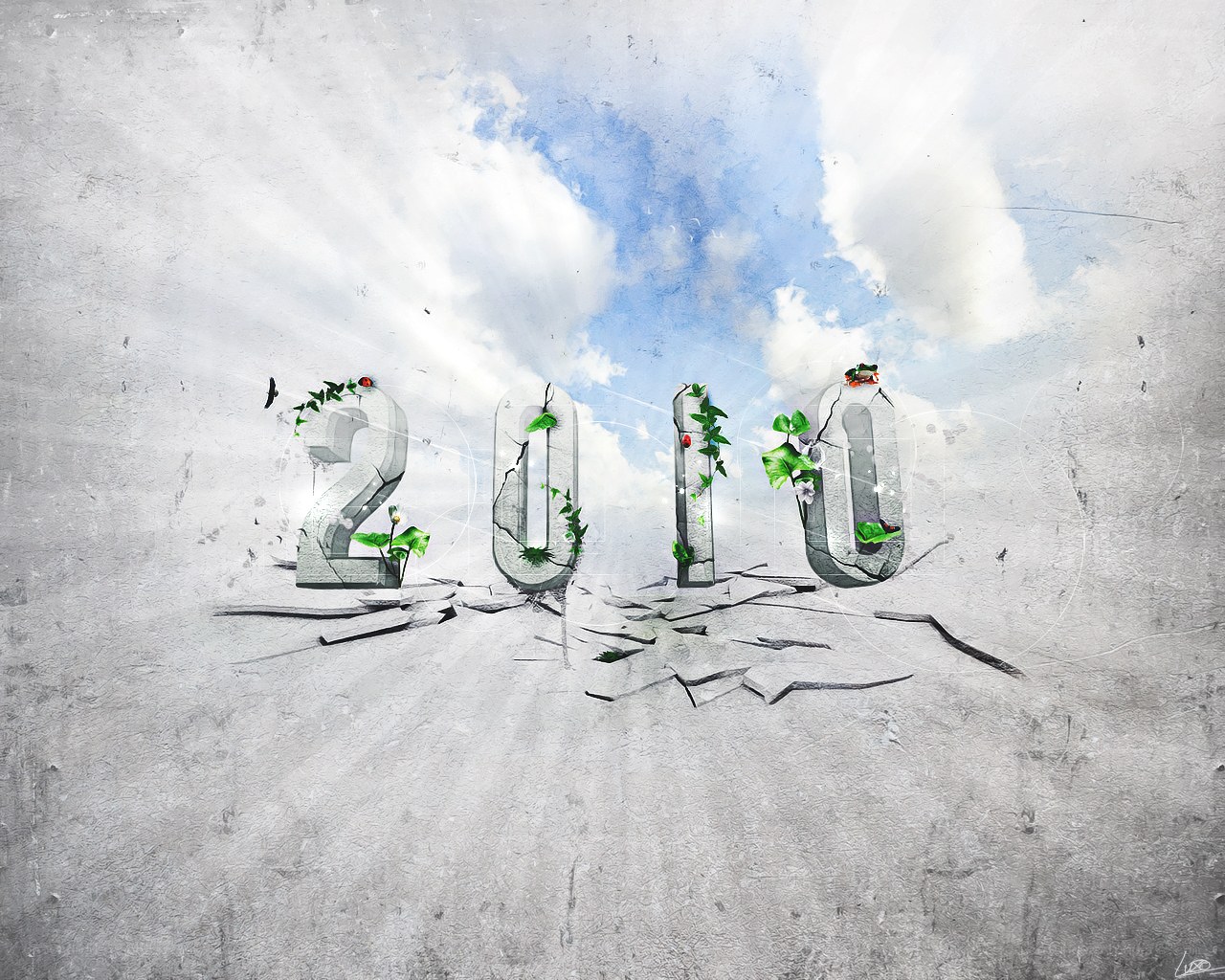 2010 with plants and cracks