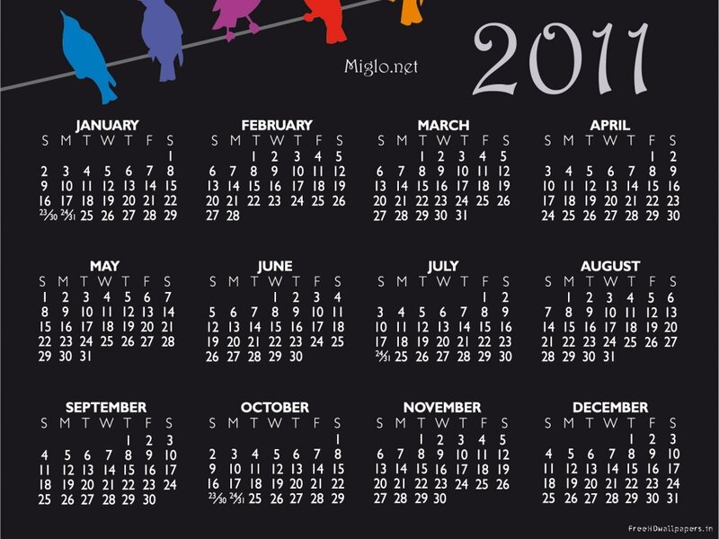 2011 Calendar with Birds