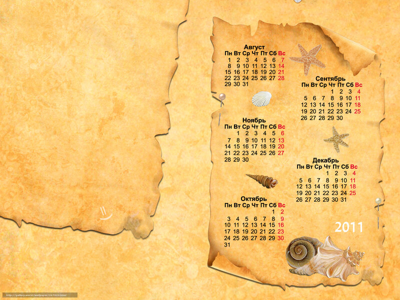 2011 calendar with sea shells