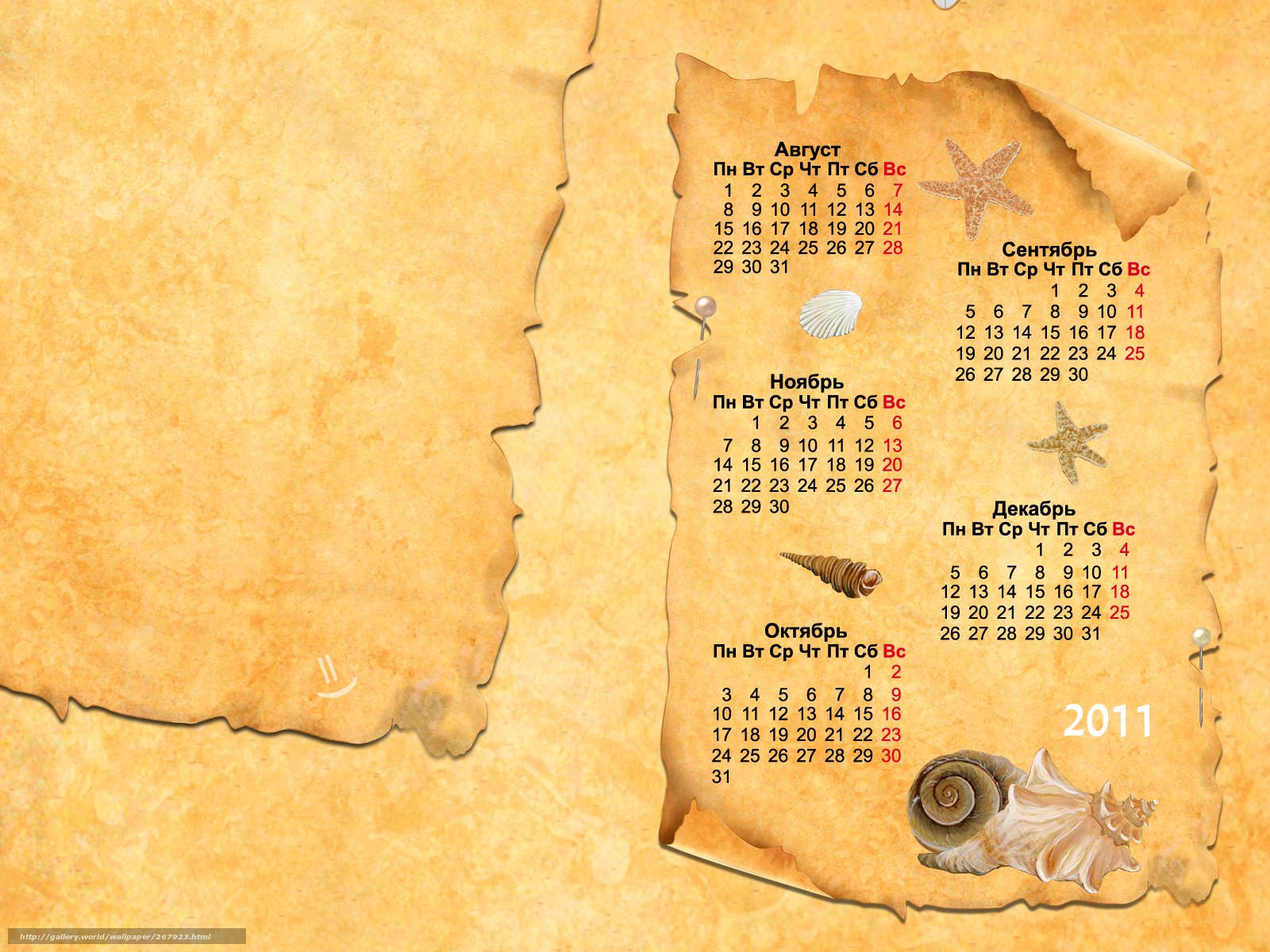 2011 calendar with sea shells