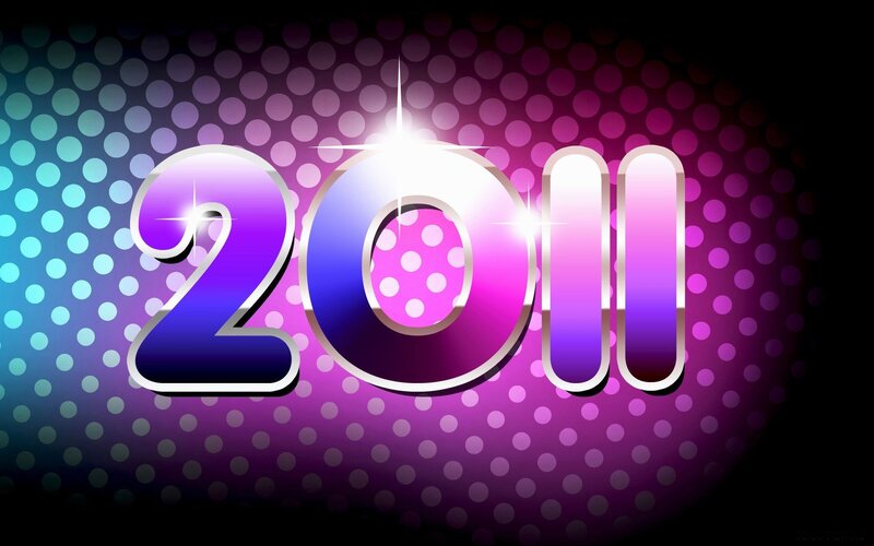 2011 New Year celebration