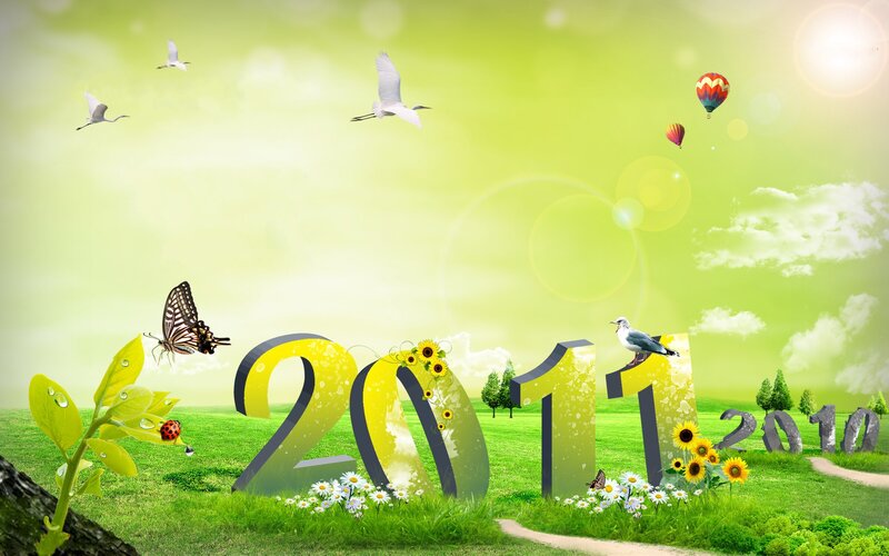 2011 New Year landscape
