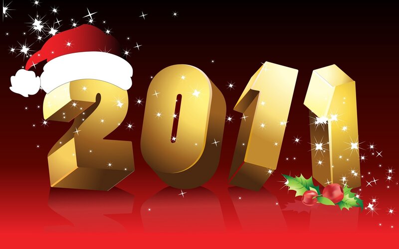 2011 New Year's celebration