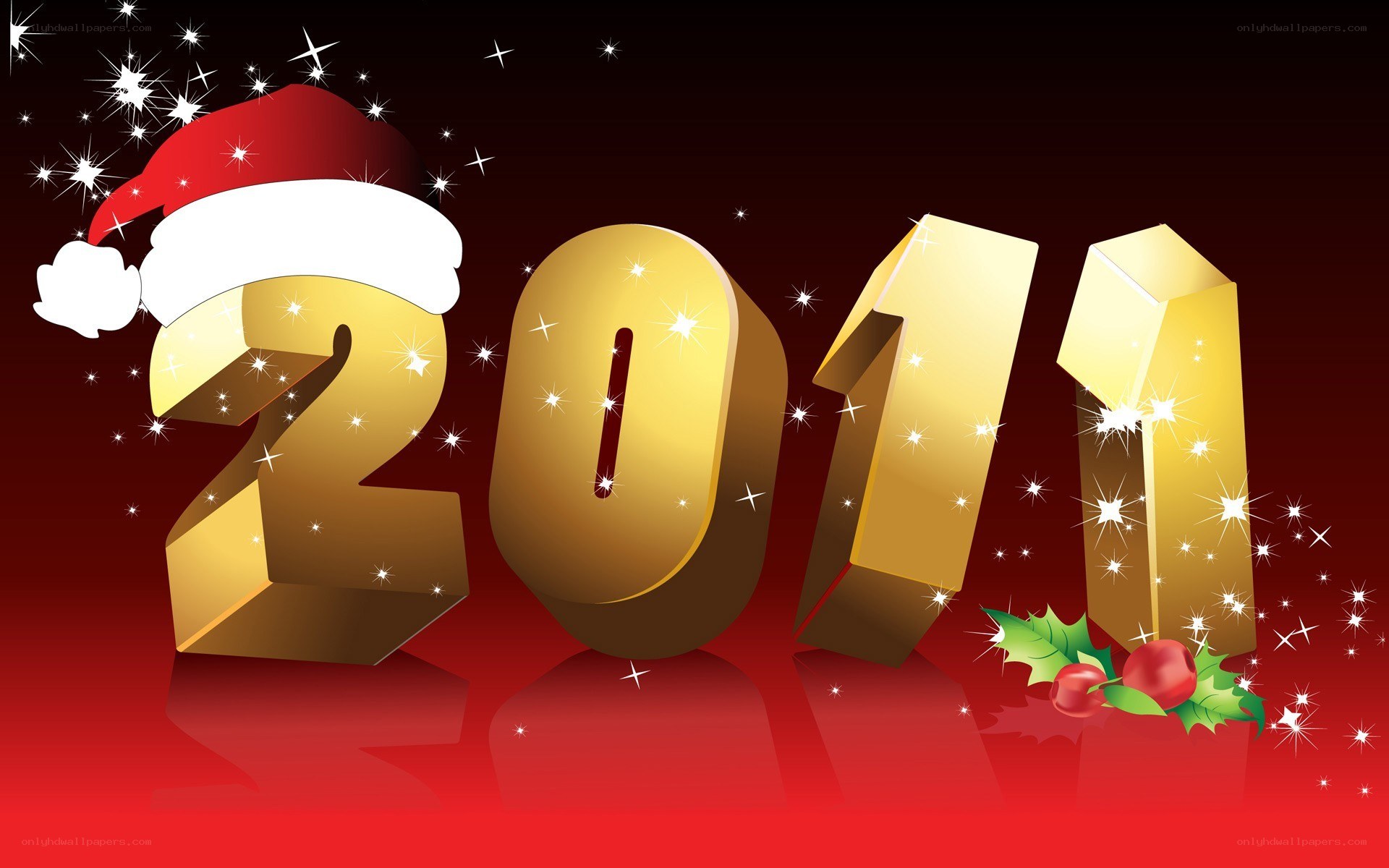 2011 New Year's celebration