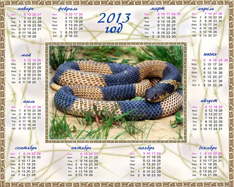 2013 calendar with snake photo
