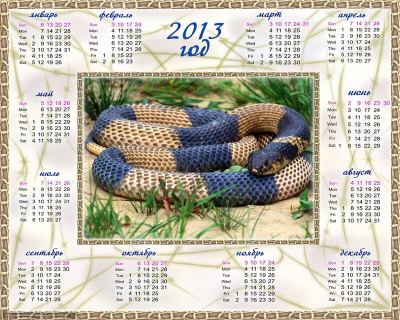 2013 calendar with snake photo