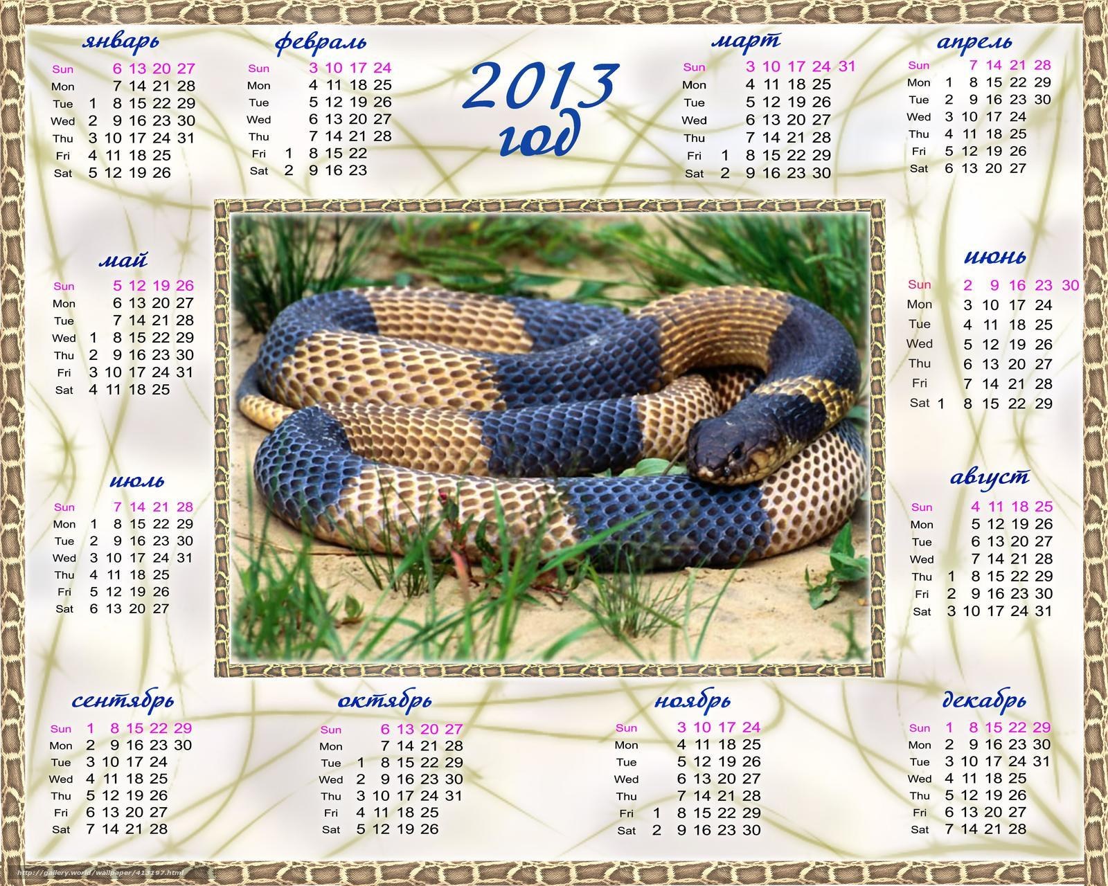 2013 calendar with snake photo