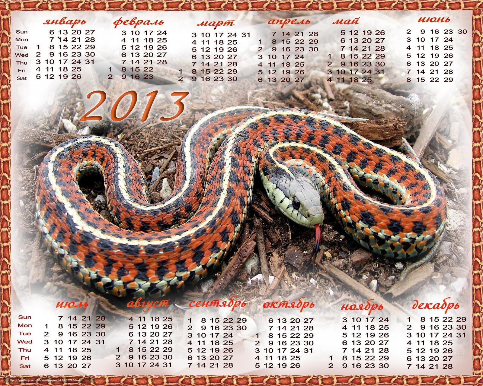 2013 calendar with snake