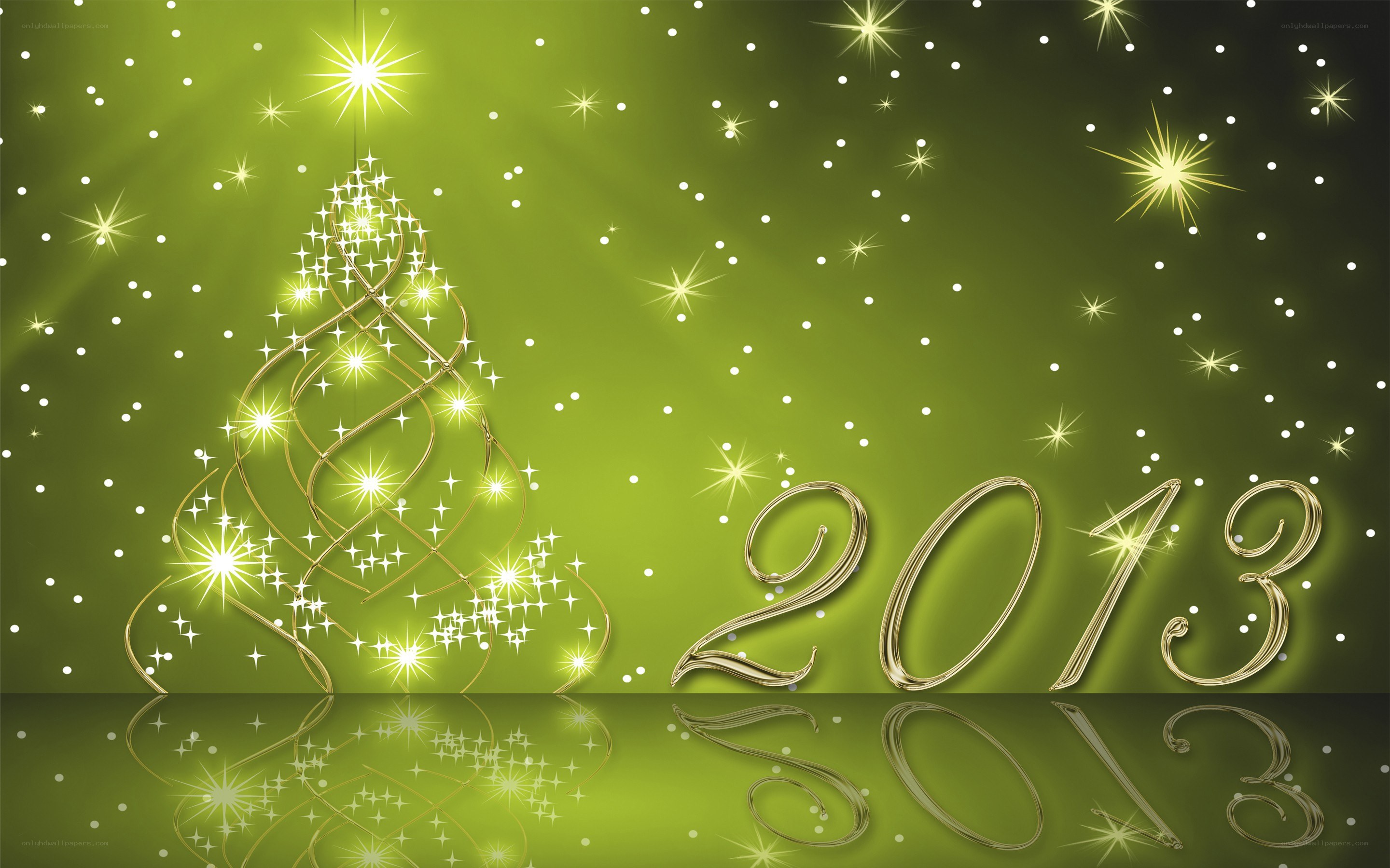 2013 Christmas celebration
