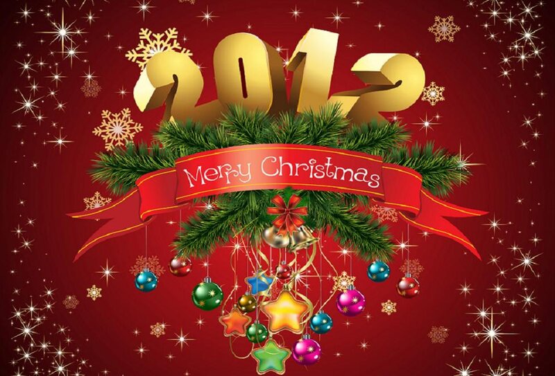 2013 Christmas Decoration