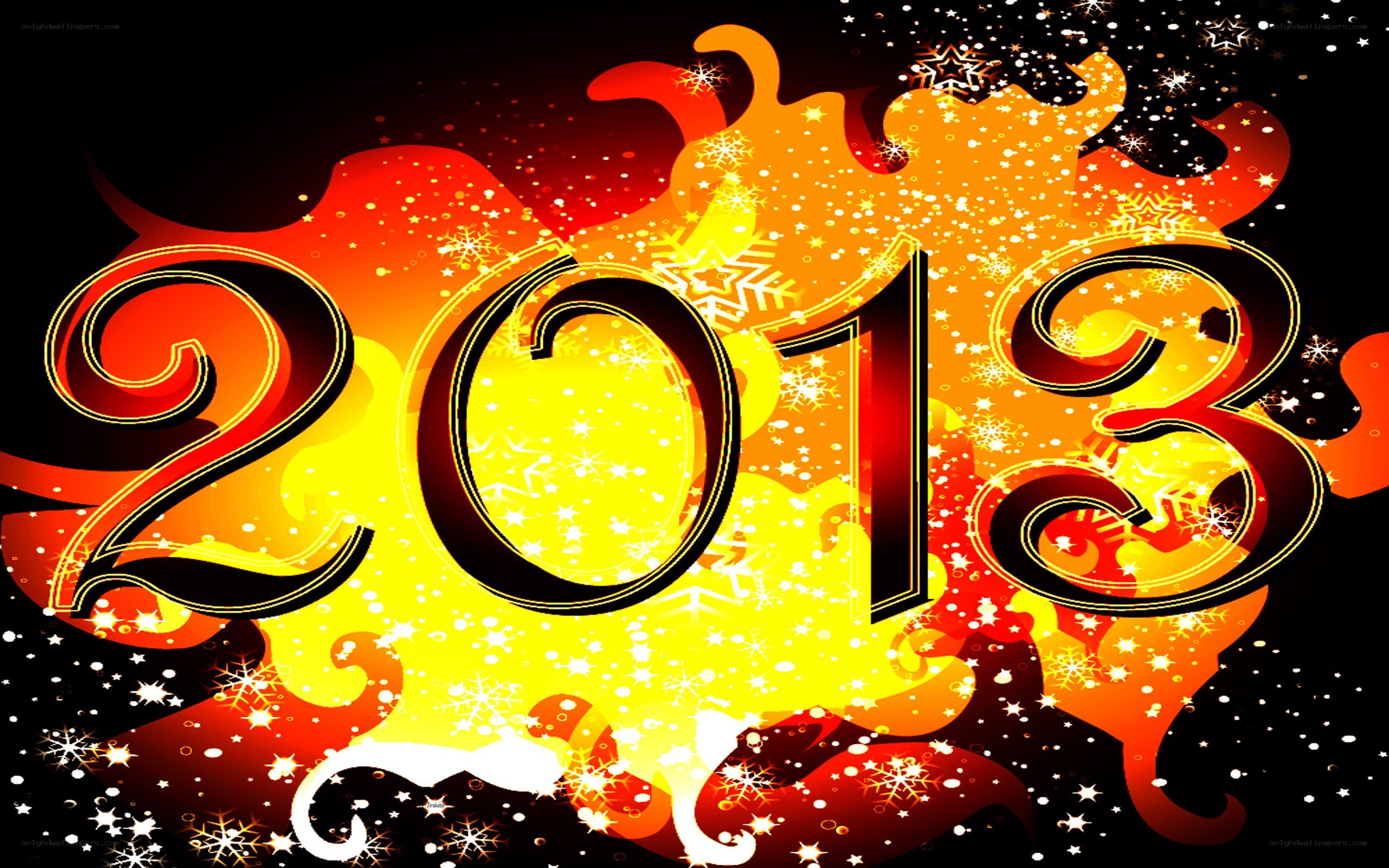 2013 New Year celebration