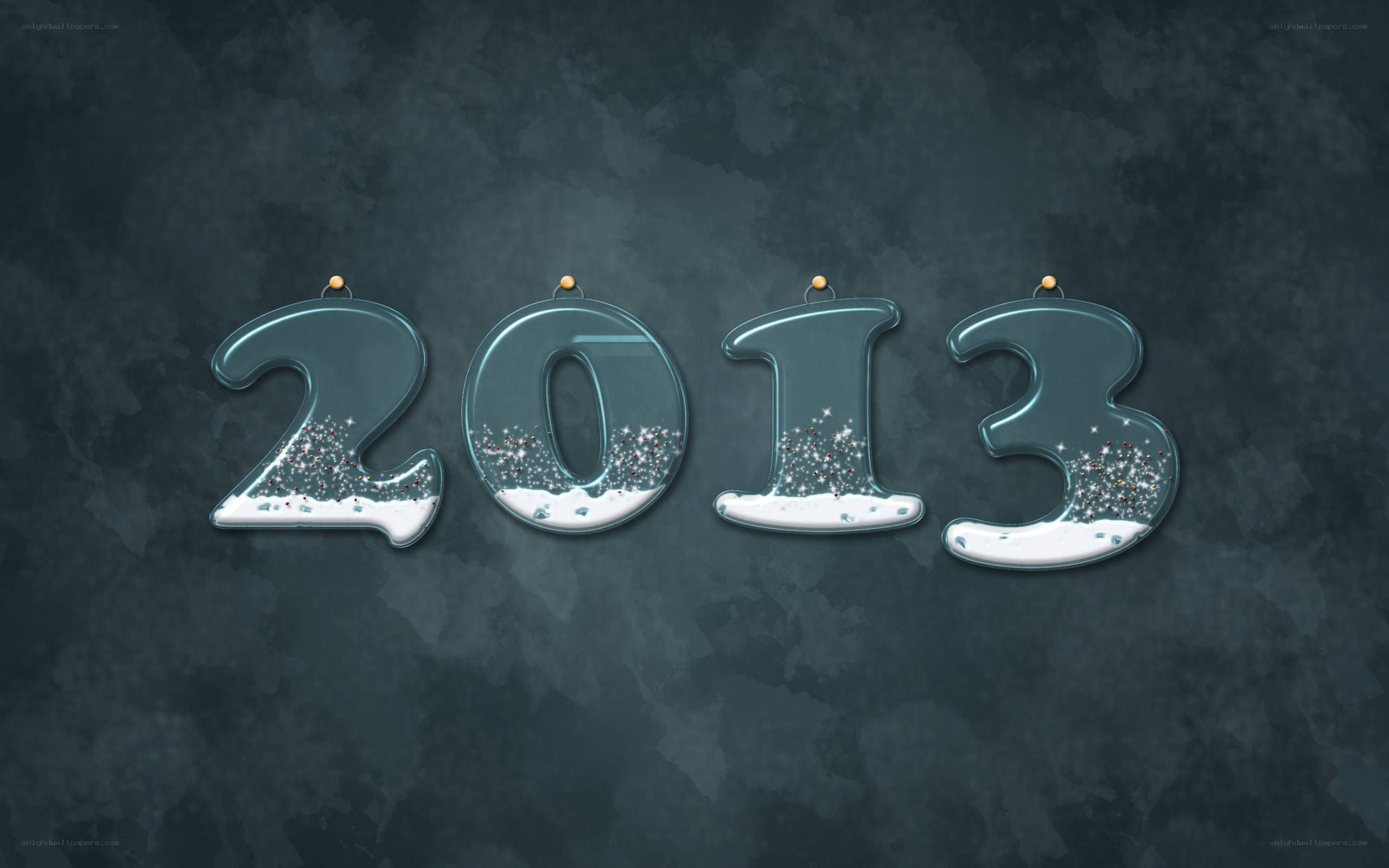2013 New Year decoration