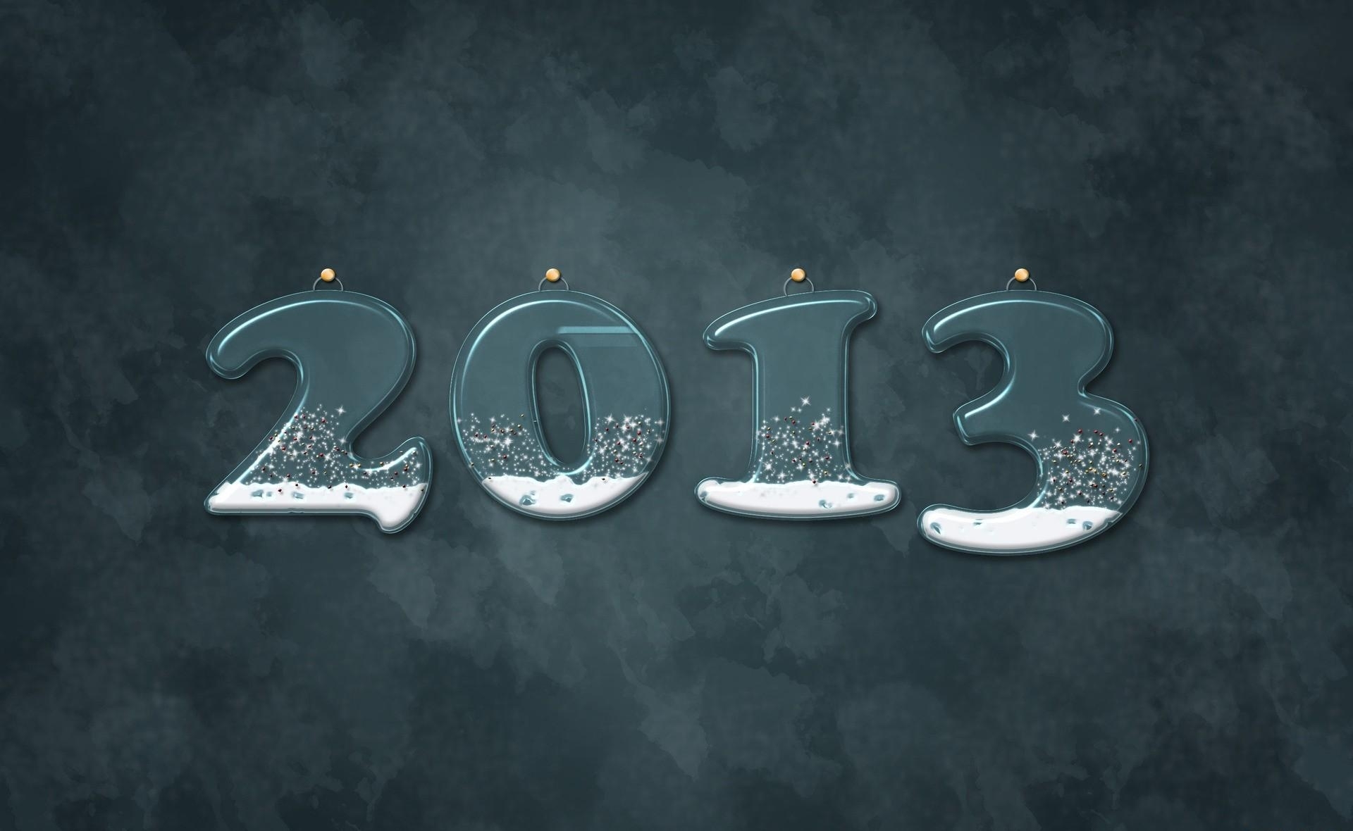 2013 new year decoration