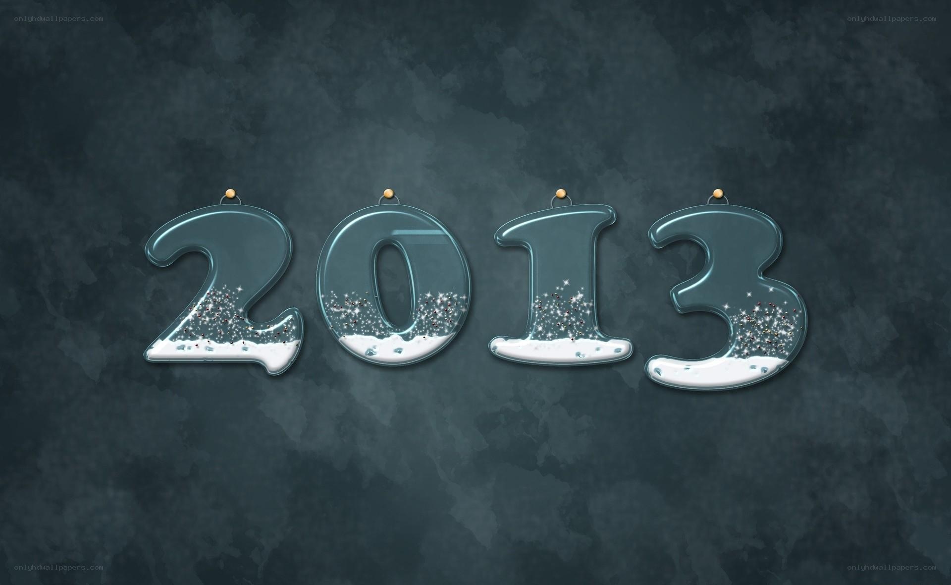 2013 new year decoration