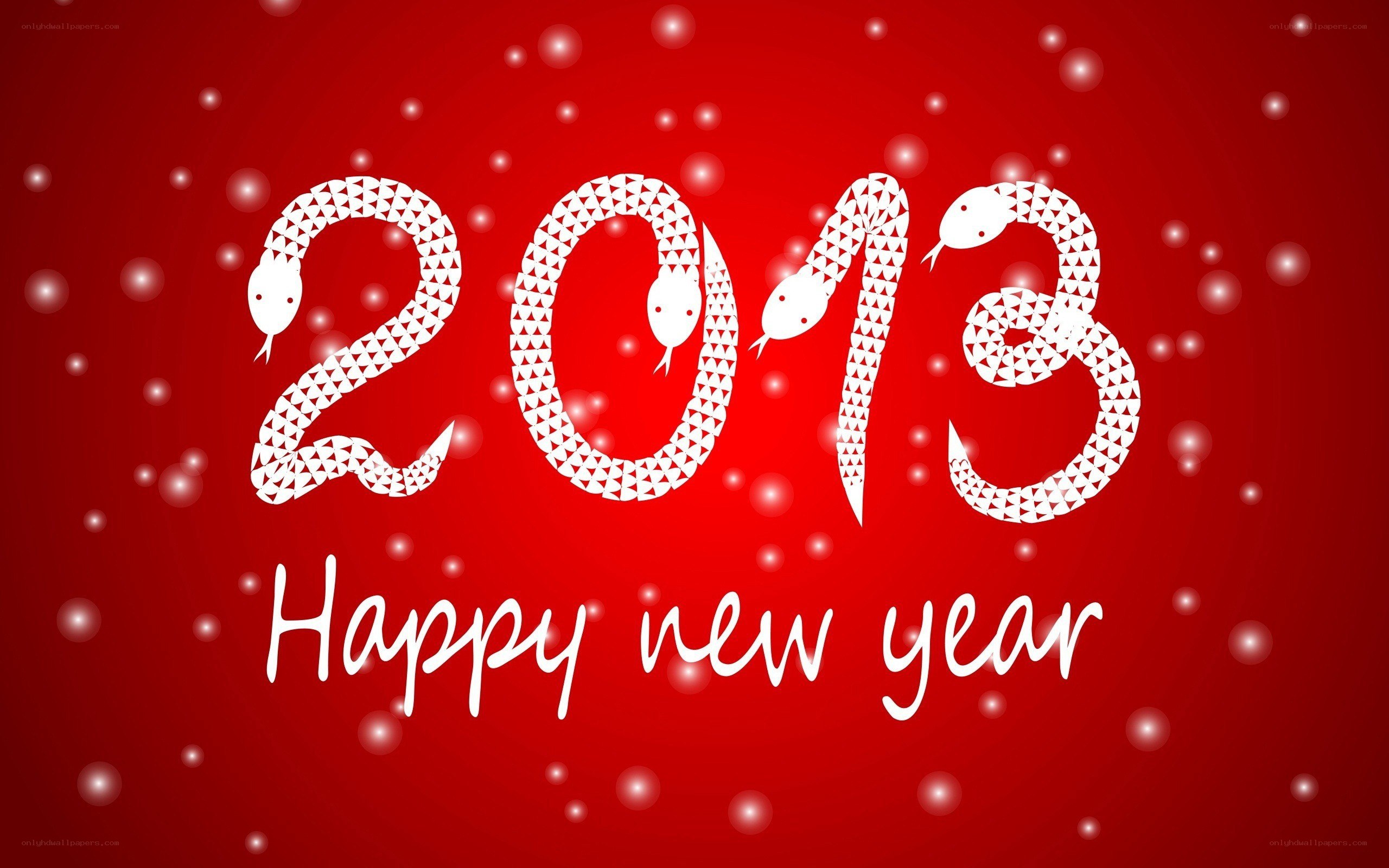 2013 new year greeting
