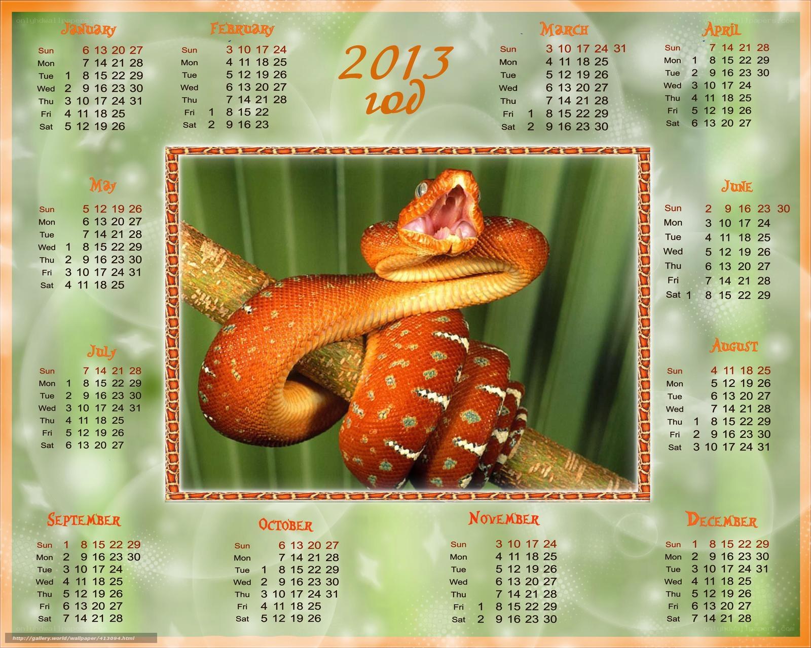 2013 Snake Calendar