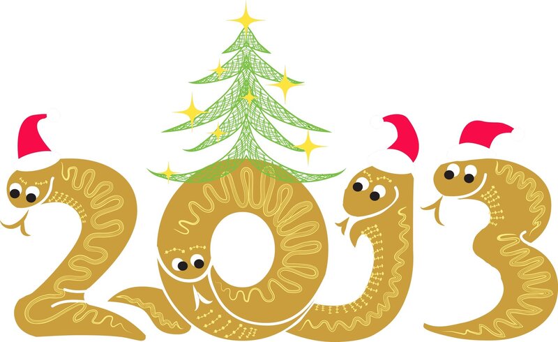 2013 snake christmas